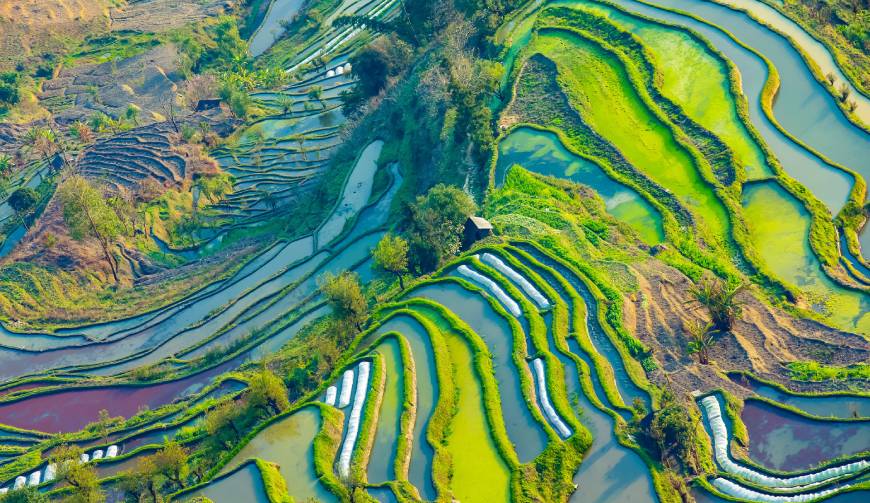 宝妈必备神器：镇原县产品视频拍摄轻松育儿好帮手