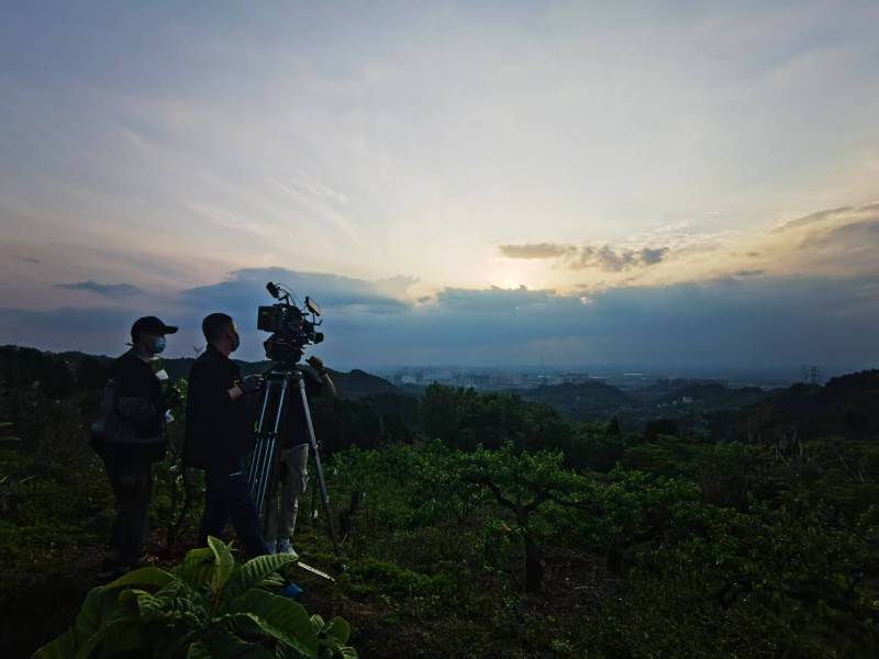 聚焦镇原县产品宣传视频拍摄公司，用专业实力铸就品牌传播传奇